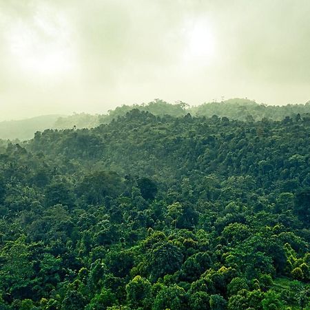 Ruhija Gorilla Guest House Kabale Bagian luar foto