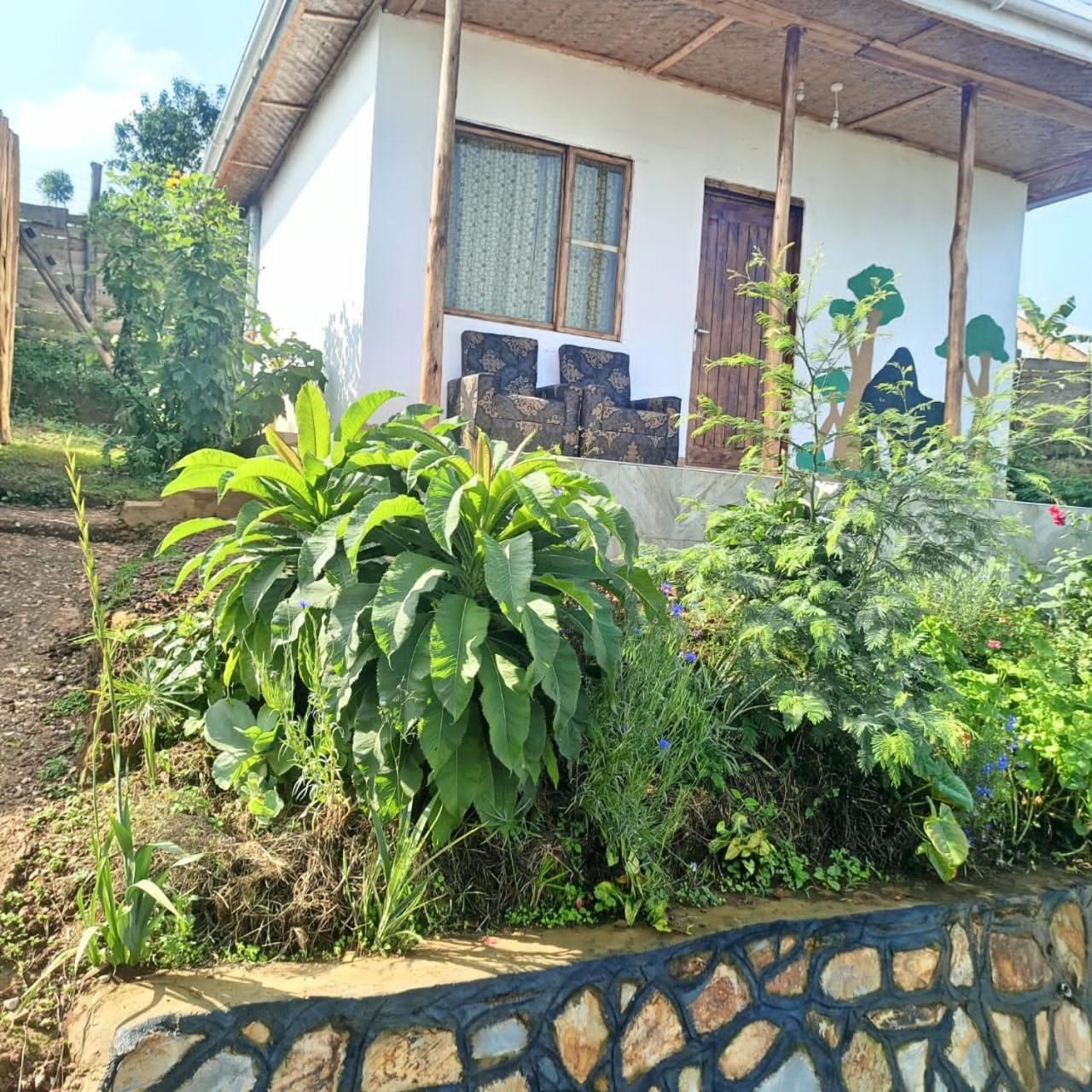 Ruhija Gorilla Guest House Kabale Bagian luar foto